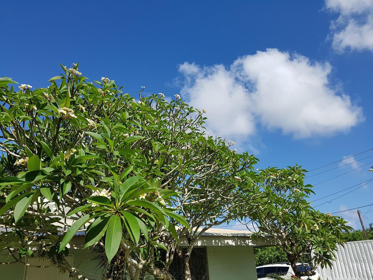 Saipan Family Residence Susupe Extérieur photo